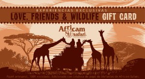Prop 2Gift Card Feb