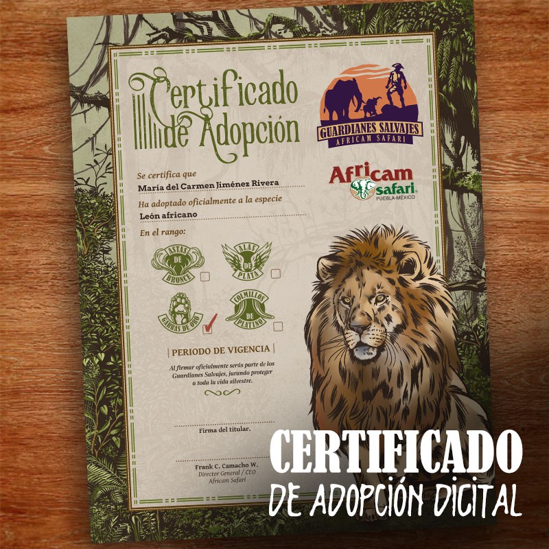 León - Africam Safari