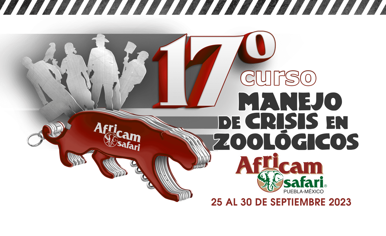 17CursoSeguridad-5 de tamaño grande
